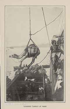 انقر للحصول على حجم اكبر