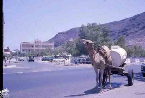 التواهي جاري جمل وفنددق الهلال في الخلفي عام 1961م